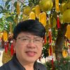Tuấn Trần