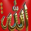 user5774451507140