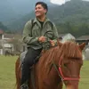 Tùng Trần