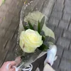 elinaahmad56