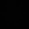 r229224