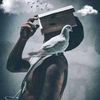 shano_sl