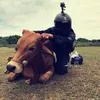 tee.moo503