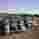 michaelwhite5045