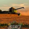 aleatorio_738
