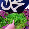 rahimrpknq7