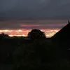 fuckmylivem
