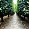 Path to Deen