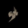dove1309