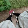 besttionly_