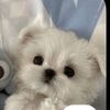 nicole.rodriguez7792