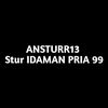 ansturr13