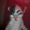 gamilgzgnyv