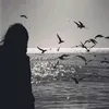 jdbjn9