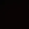 iontseenothing