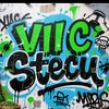 viic.stecu
