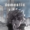 domestic.am