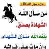 user590879075180