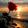 user2209014278709