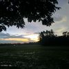mim027095