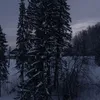 vadim_3509