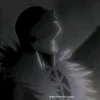 raizenshizoo
