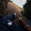 stoner_nemophilist