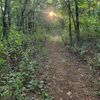 wanderingsoul118