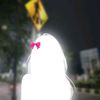 zqh_tffamily2