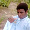 user4511033393442