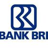 Ayudia Putri BRI