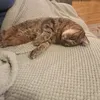 xxsophiexx67