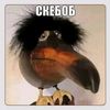 user20000242797266