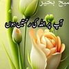 iqra.khan4085