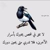 user23126180710542