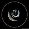 maryamaahmed61