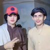 mateen_gull01