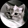 kim_jisa6