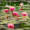 asif.mahmud490