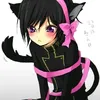 hailcatboylelouch