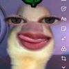 hi_ini_cii