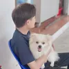 Ở đây có gì?