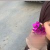 zzzinnnneeeboo
