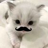 aichiteru_
