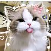 chan_ghina