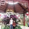 lin.thuy71