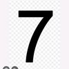 esteler4_wbd