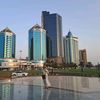 roza03963