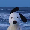 betoofofo