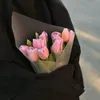 bashapjan3f